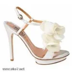 images_109.webp