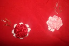 DSC00384.webp