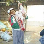 553756_369307803153620_1580640882_n.webp 553756_369307803153620_1580640882_n.webp