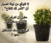 396359_456977824366386_1442758467_n.webp 396359_456977824366386_1442758467_n.webp