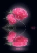 images (1).webp