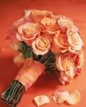 images (9).webp