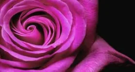 images (12).webp