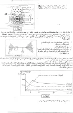 img007.webp