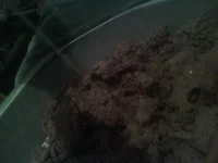 121205_205134.webp