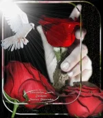 y_mKEMgLay.webp