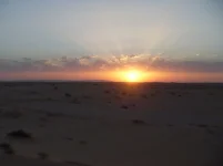 SDC10119.webp SDC10119.webp
