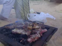 24042009112.webp