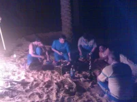 24042009124.webp