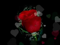 f.webp