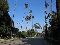 Beverly_Hills-1.webp