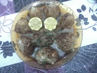 P15-01-13_17.25[1].webp
