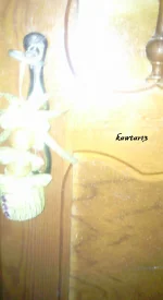 Photo0595.webp