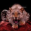 Leopard (4).png