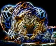 Leopard (5).webp