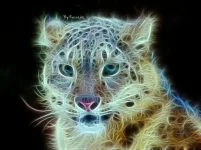 leopard-6.webp