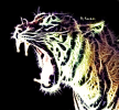 tiger (1).png