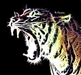 tiger (1).webp