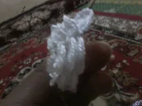 Photo0469.webp