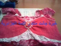 Photo-0477.webp