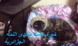 Photo0211.webp