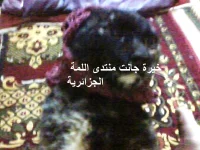 Photo0199.webp