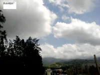 P020611_1459.webp