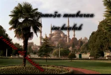 pizap.com13633361399861.webp