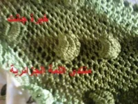 Photo1410.webp