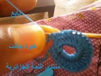 16.webp