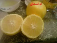 amanihn 008.webp amanihn 008.webp