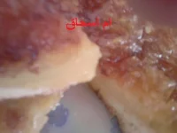 amanihn 015.webp amanihn 015.webp