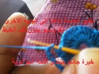 19.webp