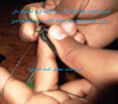 DSCF9727.webp