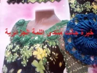 50.webp