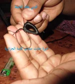 DSCF9732.webp