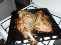 SAM_0417.webp