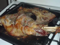SAM_0418.webp