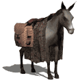 animaux-anes-00014.gif animaux-anes-00014.gif