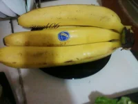 Photo.addgj-0005.webp