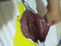 Photo-0022.webp