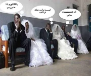 77600chatal3nabi.webp