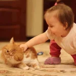 944306_489717681100177_2131080198_n.webp