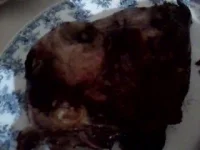 P220713_1944[01].webp