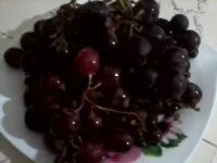 P220713_1754[01].webp