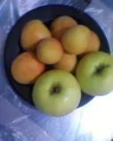 Photo-0101.webp