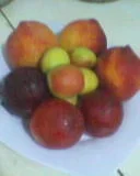 Photo-0143.webp