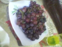 Photo-0064.webp