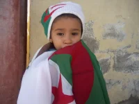 P20-11-13_14.03[3].webp