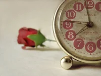 26.webp